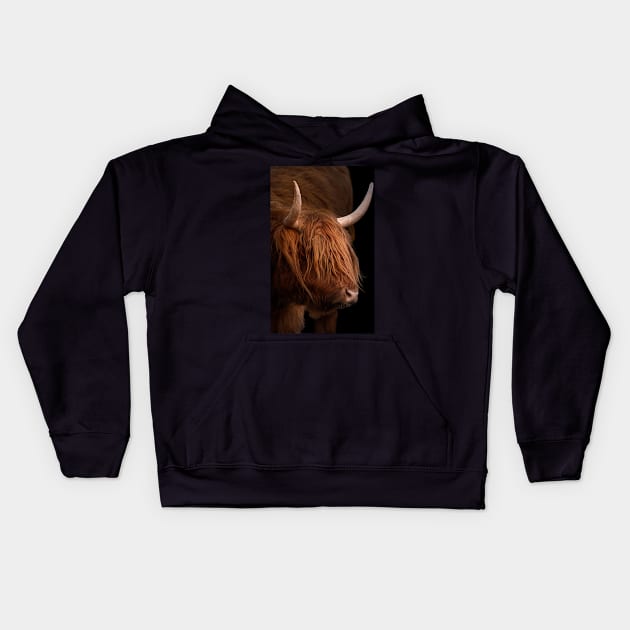 Scottish Highland Cow Kids Hoodie by dalekincaid